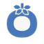 Blue Tomato Logo